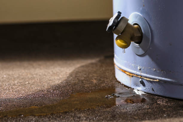Best Water damage restoration near me  in West Salem, OH