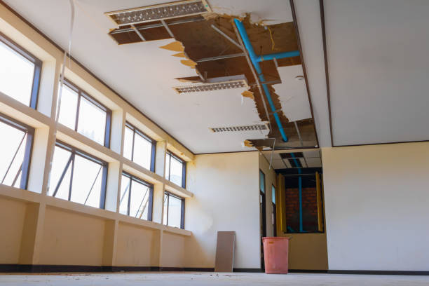 Best Mold removal after water damage  in West Salem, OH
