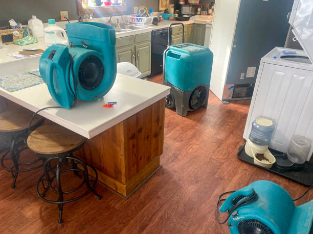 Best Water damage contractors near me  in West Salem, OH