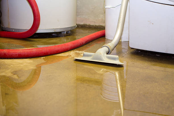 Best Professional water damage repair  in West Salem, OH