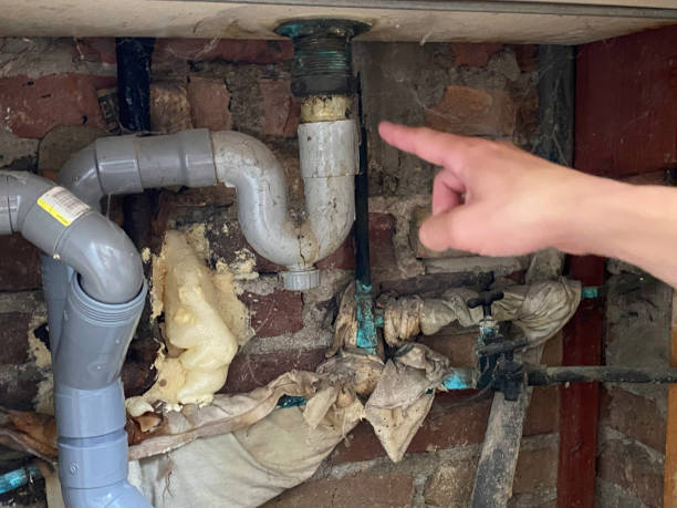 Best Flood damage cleanup  in West Salem, OH