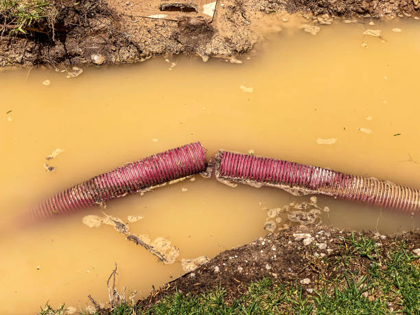 Best 24-hour water damage restoration  in West Salem, OH